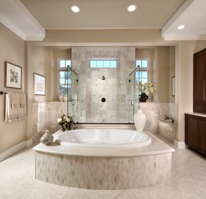 Bathtub | Elite Builder Services