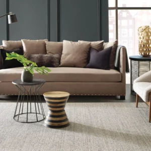 Living room carpet | Elite Builder Services