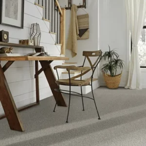 Soft carpet | Elite Builder Services